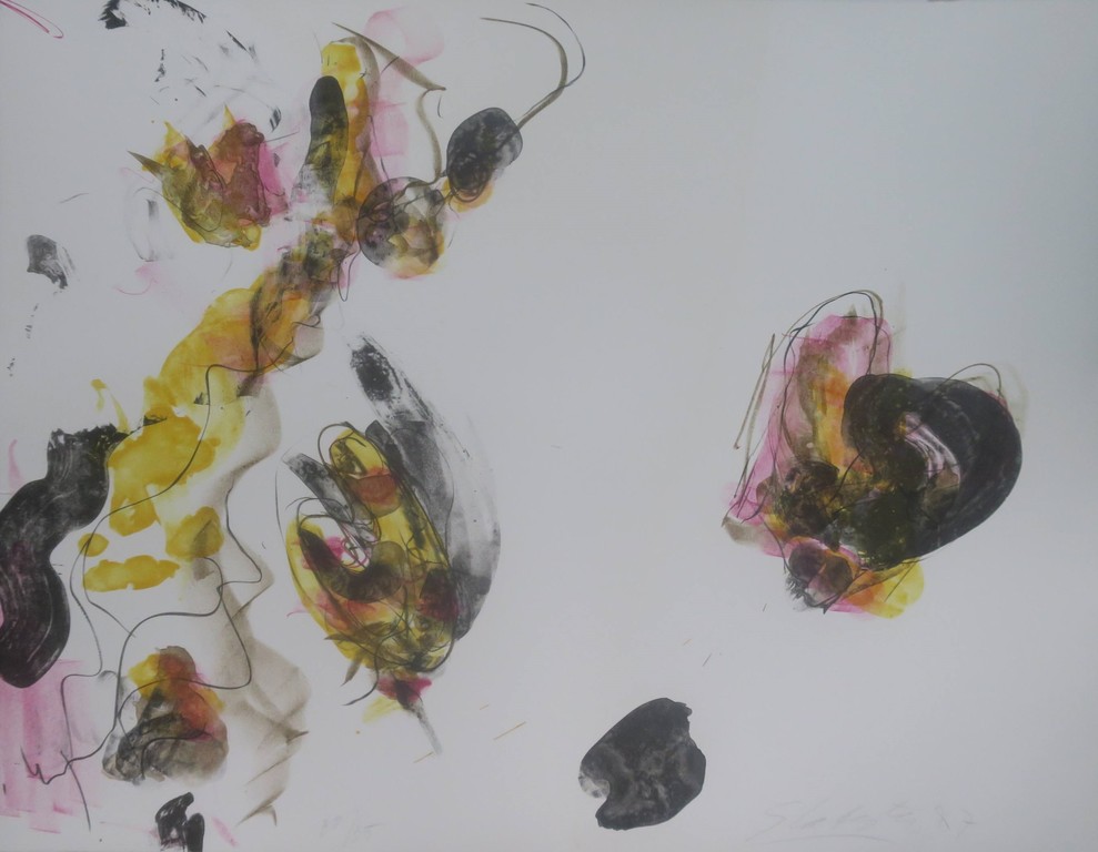 Ger Lataster: Litho, Z.T. Man met zonnebril kopen? Bied vanaf 80!