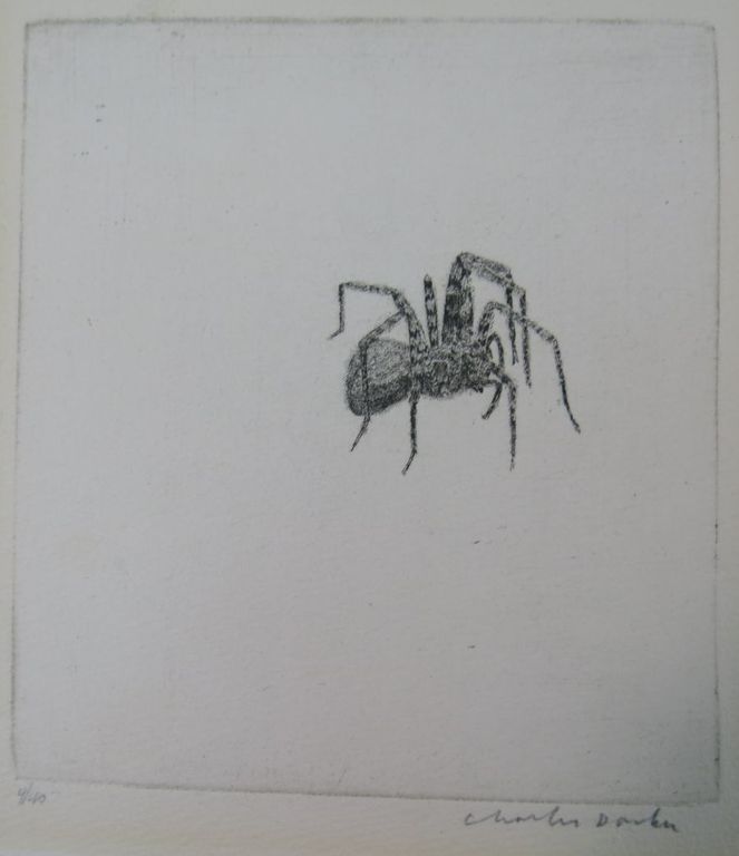 Charles Donker: Ets, Spin (b) verkocht voor € 75!