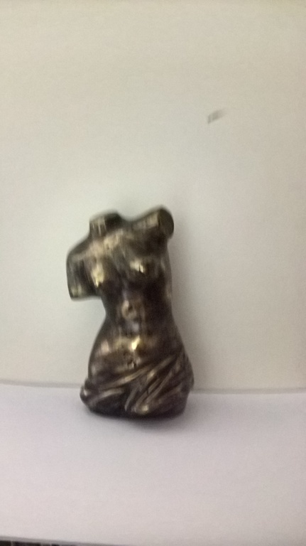 Brons, vrouwelijk torso kopen? Bied vanaf 45!