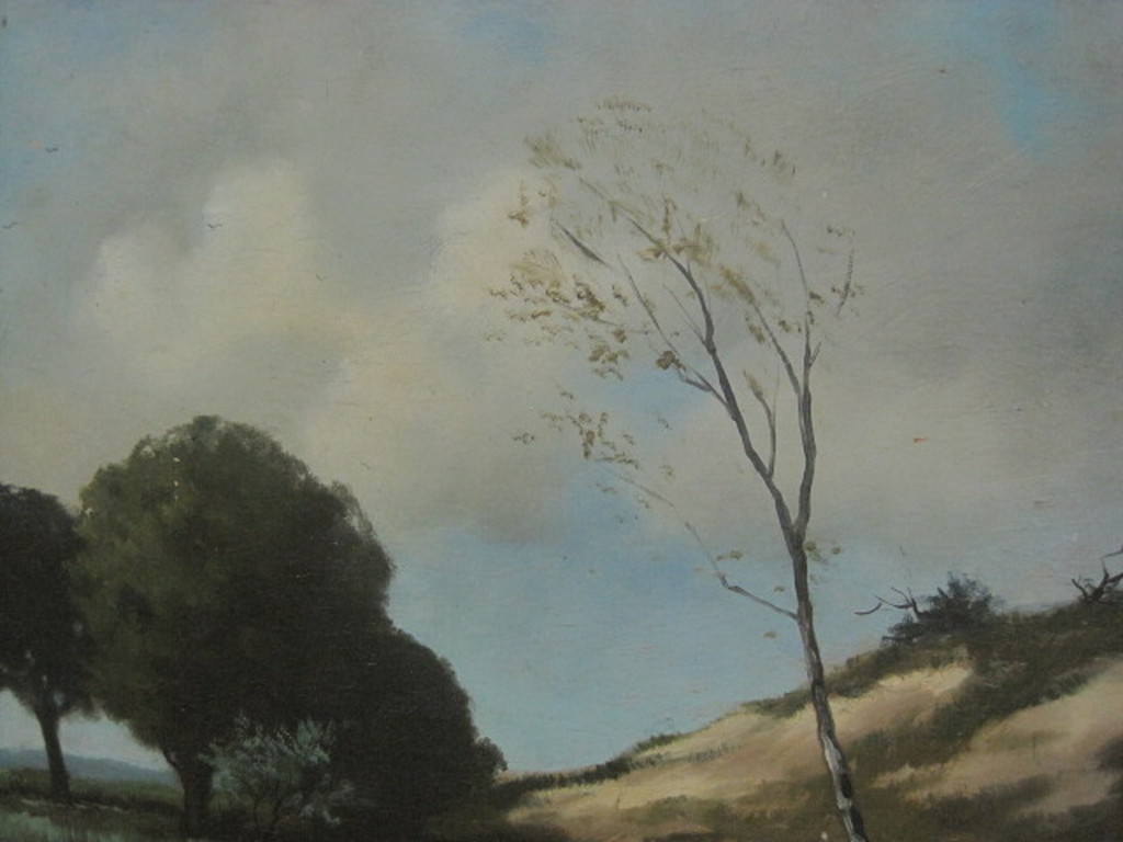 Dick Salome ( 1907 - 1986 ) olieverf - Duinlandschap  - omstreeks 1930/1940 kopen? Bied vanaf 1!