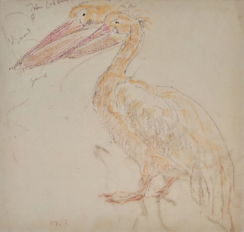Willem de Zwart, Tekening, Pelikanen verkocht voor € 75!