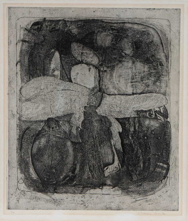 Charles Donker, compositie met insecten, privé collectie Dirkje Kuik. verkocht voor € 100!