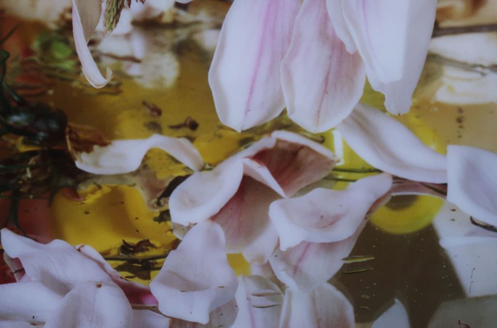 Margriet Smulders: Cibachrome print, Athena (Groot) kopen? Bied vanaf 1500!