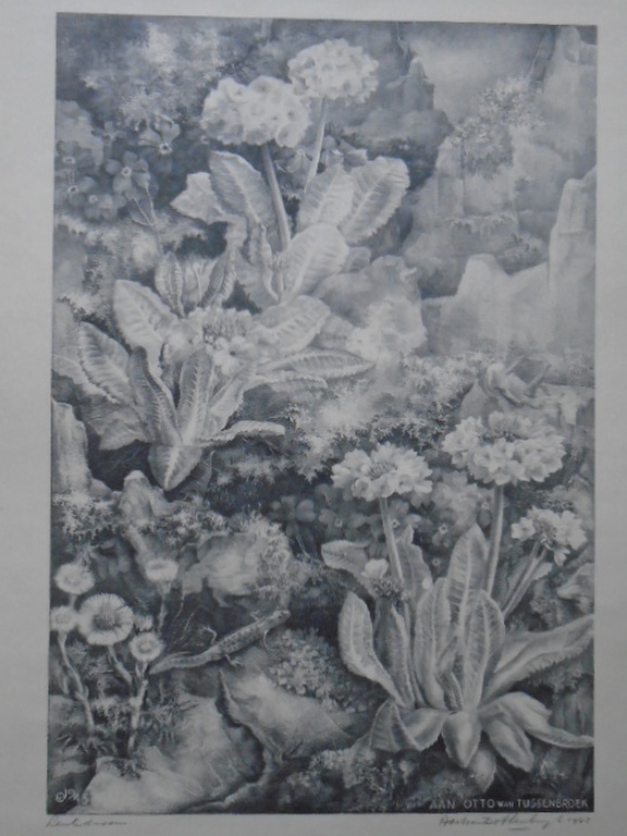 Aart van Dobbenburgh - litho - Lentedroom verkocht voor € 40!