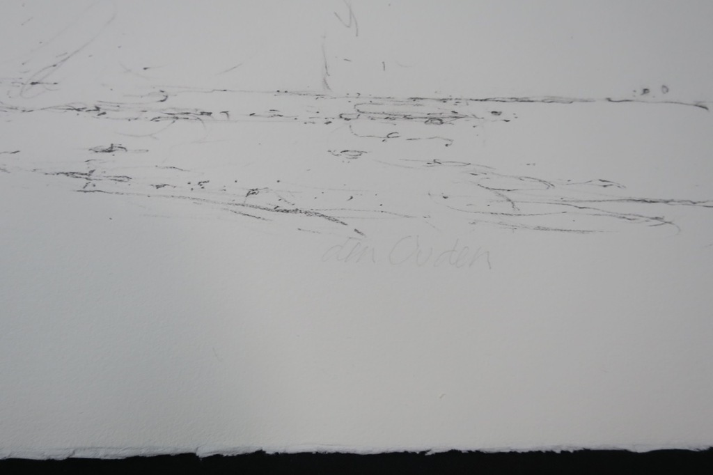 Willem den Ouden Litho, Zonder titel kopen? Bied vanaf 1!