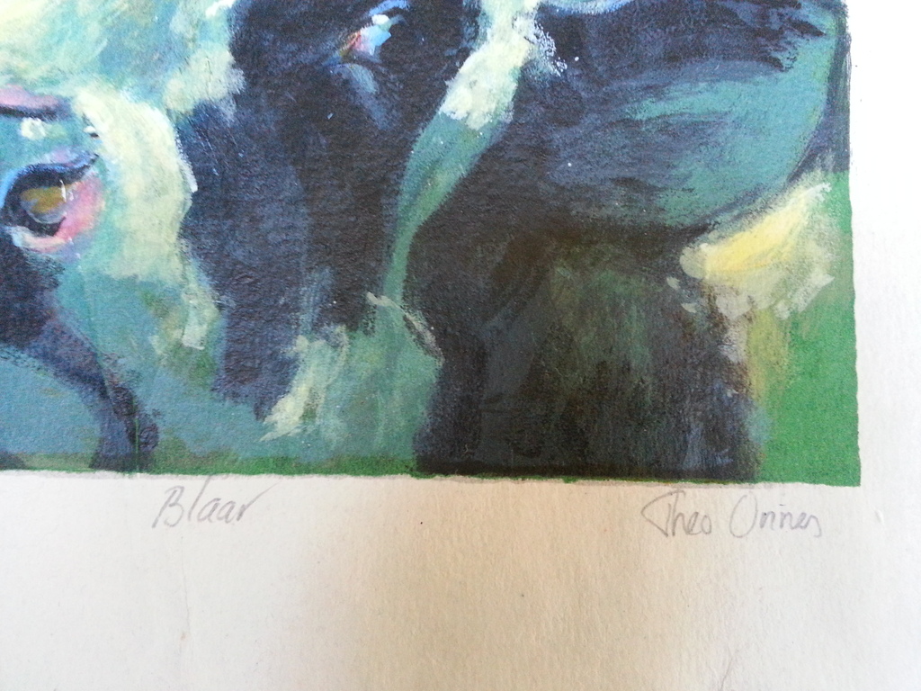 Theo Onnes, zeefdruk, titel:  kopen? Bied vanaf 30!