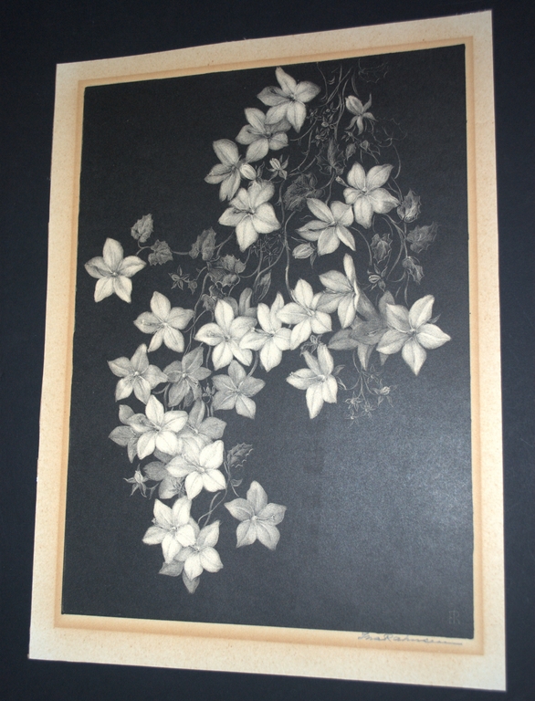 Litho bloemen - handgesigneerd verkocht voor € 40!