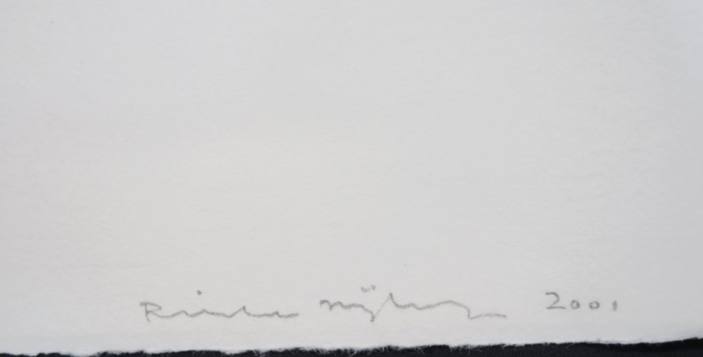 Rinke Nijburg: Ets en litho, the Snake's view kopen? Bied vanaf 1!