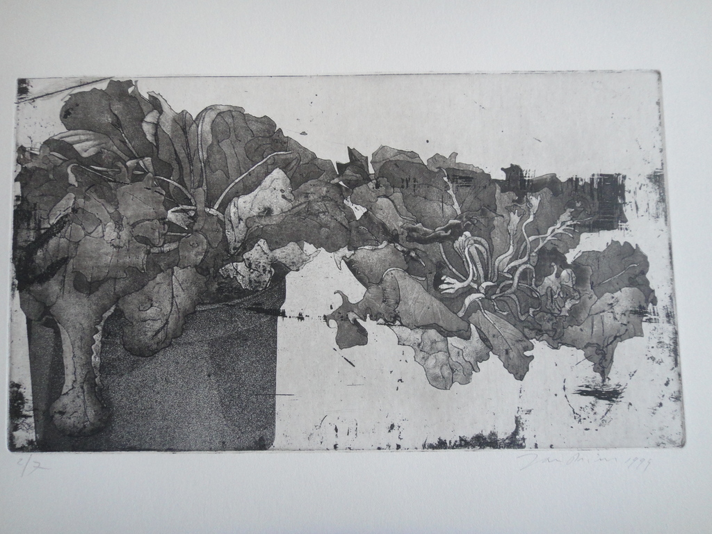Jan Prins (1956) - (zeldzame) ets - bloemen in pot  verkocht voor € 42!