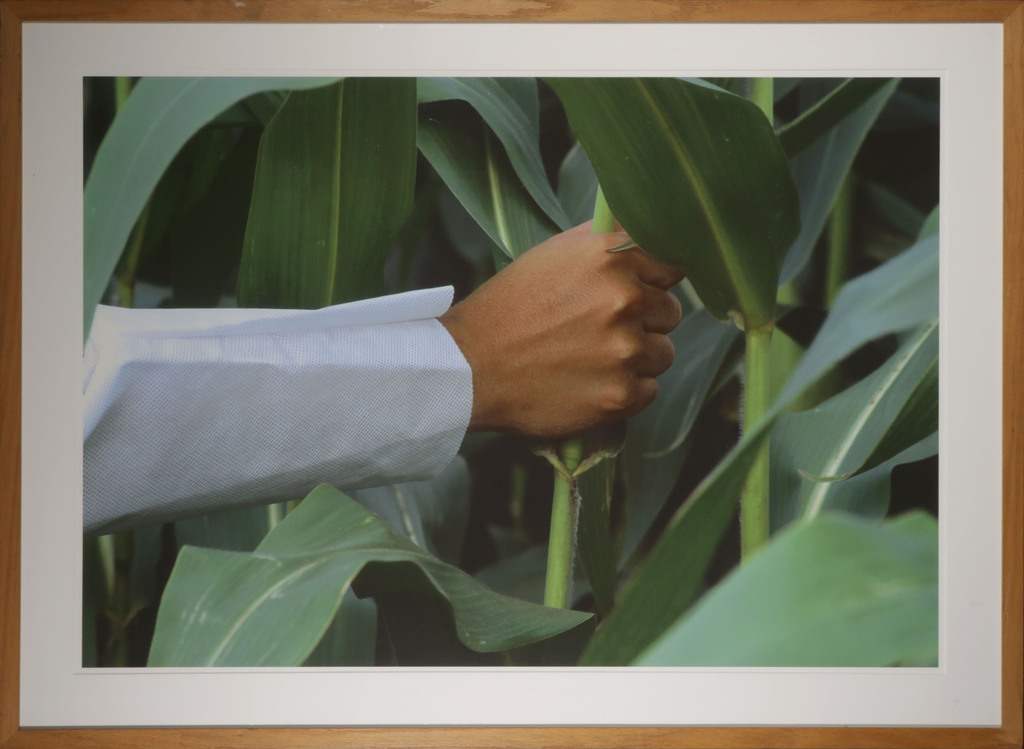 Robert Wevers: Inkjetprint, Hand en steel - Ingelijst (Groot!) verkocht voor € 100!