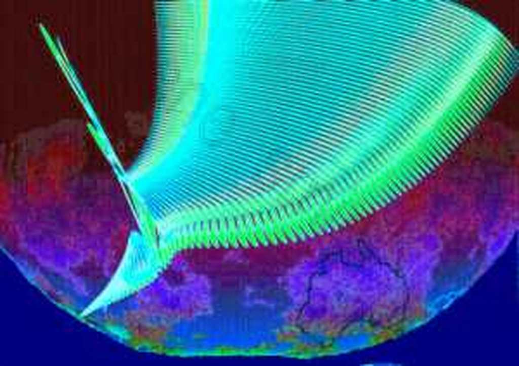 irene sminia - digitale grafiek - ortosaurus met australië kopen? Bied vanaf 49!