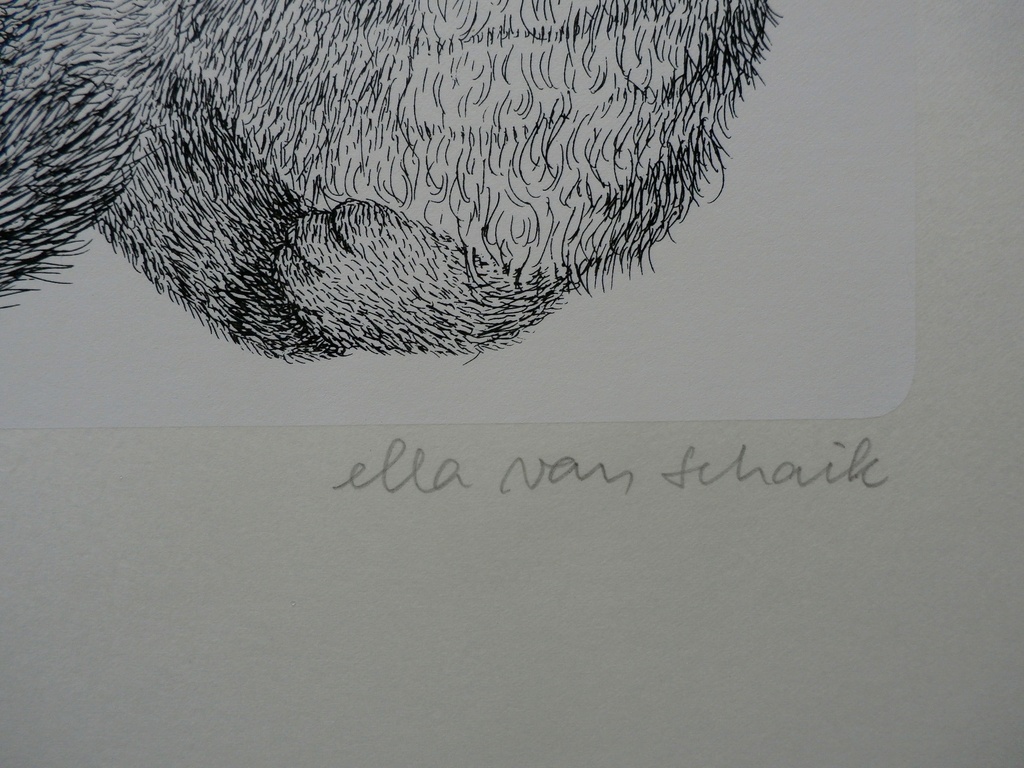 Ella van Schaik - zeefdruk: poes (3 afbeeldingen) kopen? Bied vanaf 45!