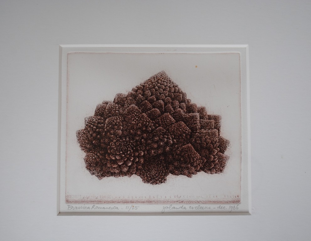 Yolanda Eveleens - ets - 'Brassica Romanesca' - dec. 1986 - 11/25 - ingelijst kopen? Bied vanaf 75!
