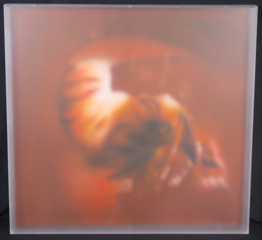 Stephan Kaluza: Olieverf op doek, in/achter mat perspex baklijst, Z.t. (Groot) kopen? Bied vanaf 500!