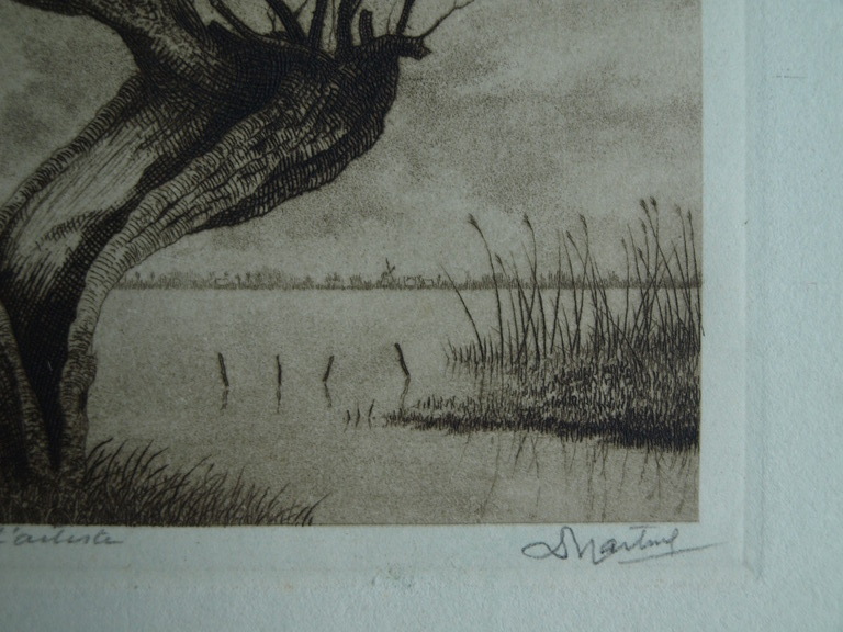 Dirk Harting (1884-1970) : Ets – Knotwilg aan het water – gesigneerd – ca 1935 kopen? Bied vanaf 25!