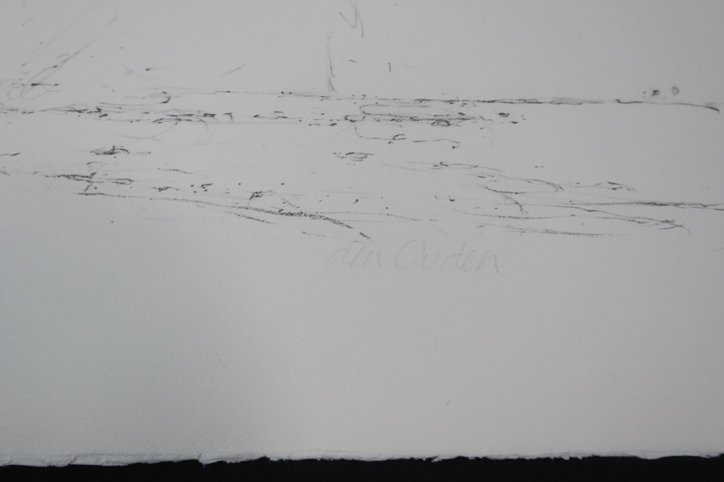 Willem den Ouden Litho, Z.T. kopen? Bied vanaf 1!