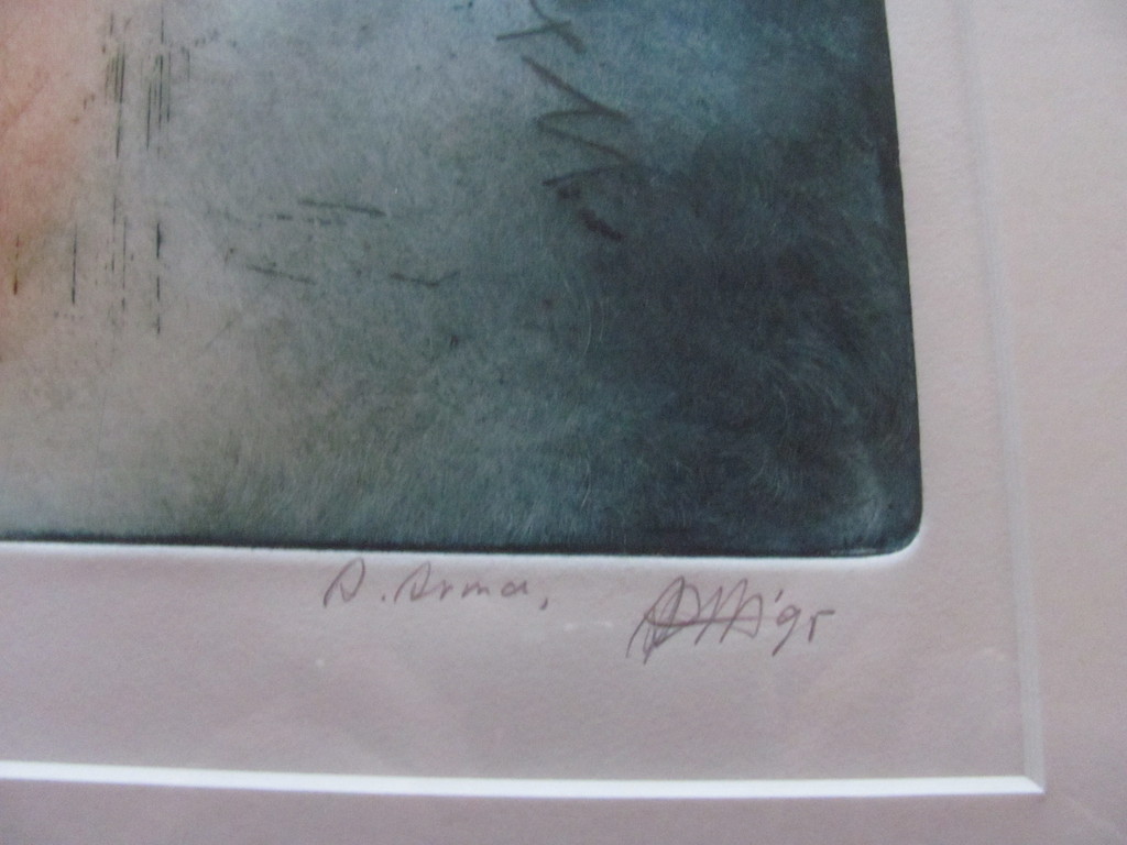 Ad Arma - kleurenets  kopen? Bied vanaf 50!