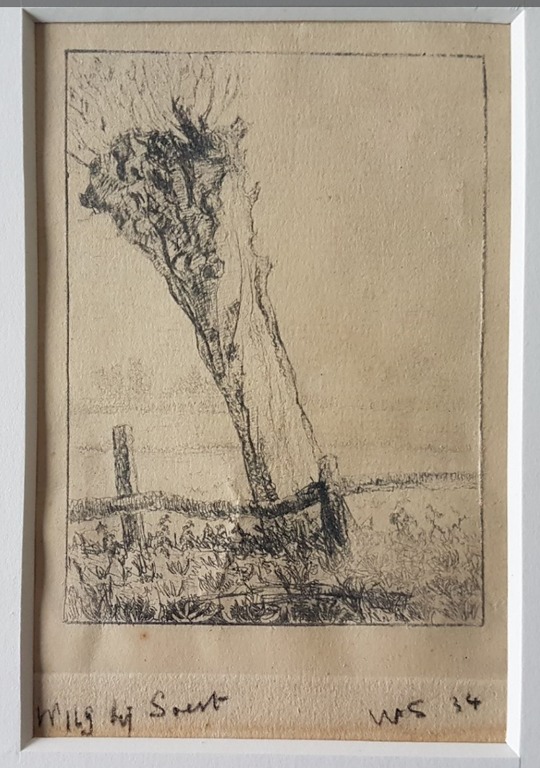 Wim Steijn, tekening, 'Wilg bij Soest', 1934 kopen? Bied vanaf 35!