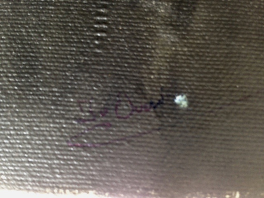 Olieverfschilderij - uitzicht over een meer - 70 x 50 cm = gesigneerd  kopen? Bied vanaf 1!