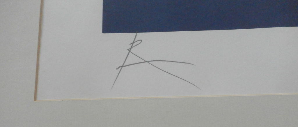 Rob Scholte - ingelijste zeefdruk: Copyright kopen? Bied vanaf 125!