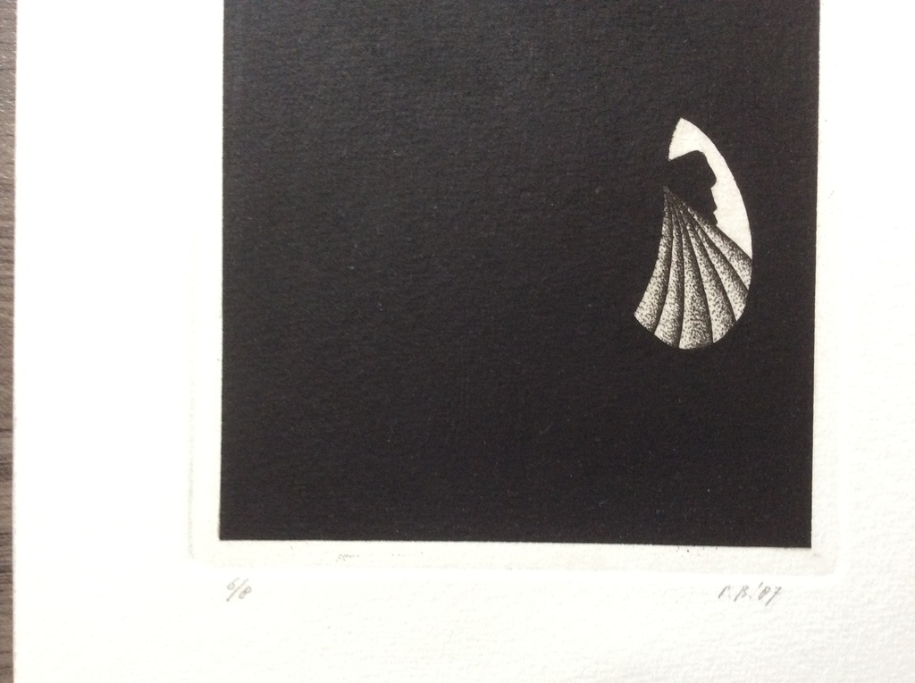 Pieter Bijwaard - Lichtvlekken - box met 10 gesign.etsen, oplage 6/8, 1987 kopen? Bied vanaf 50!