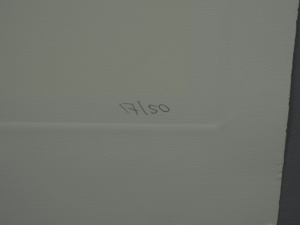 Gerard 't Hart: zeefdruk, zonder titel kopen? Bied vanaf 25!