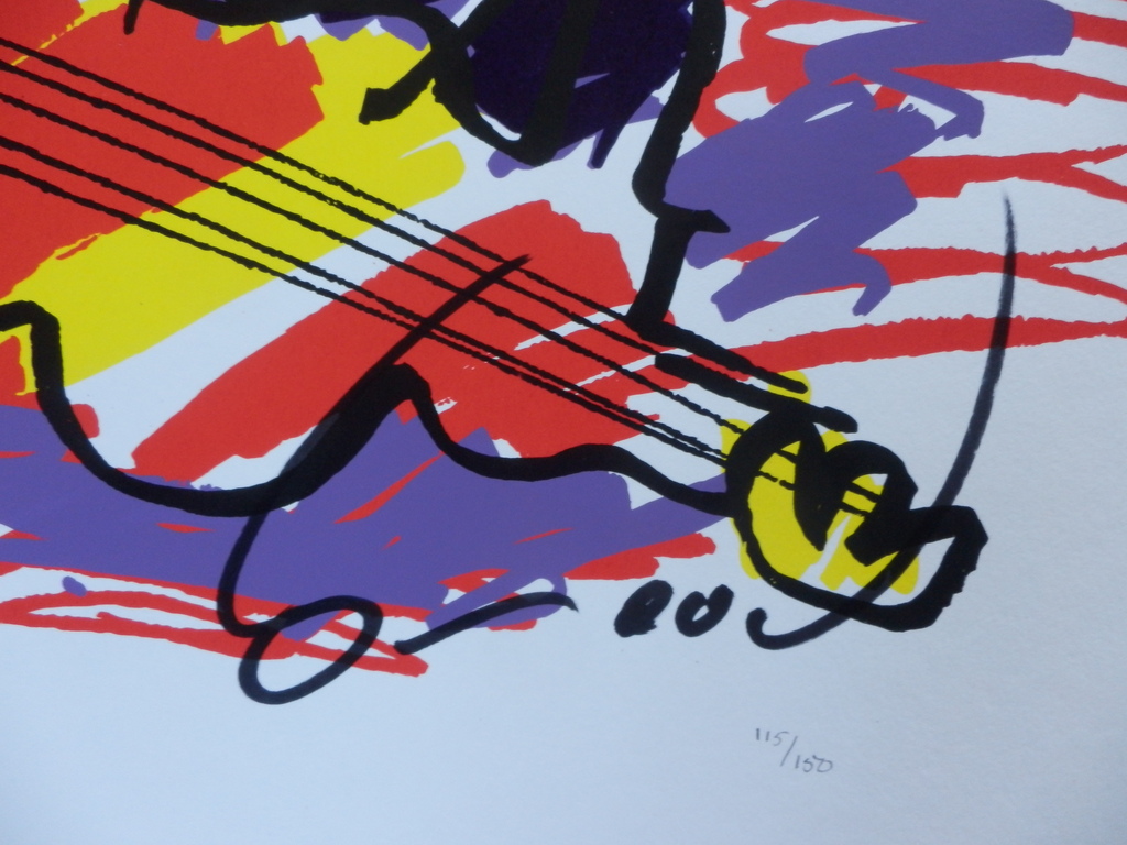 HERMAN BROOD, Gelimiteerde en HANDGESIGNEERDE Zeefdruk  ELVIS kopen? Bied vanaf 1!