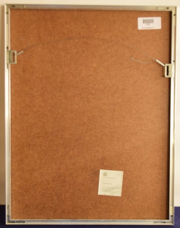 Harrie Gerritz - Ets - De roze maan van het zuiden kopen? Bied vanaf 10!