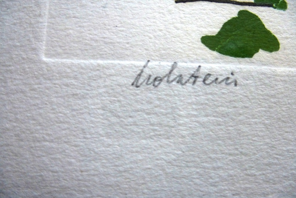 Pieter Holstein, handingekleurde  kleurenets: Ontmoeting, 1978, handgesigneerd e kopen? Bied vanaf 75!