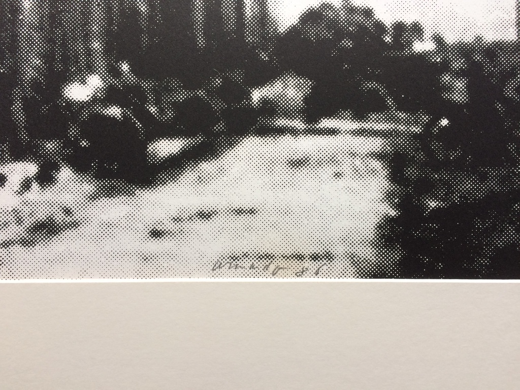 Armando, zeldzame foto-litho Schuldige Landschaft in nieuwe lijst 19/35 kopen? Bied vanaf 350!