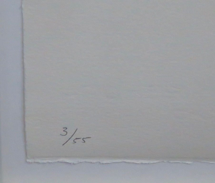 Ruud Dijkers: Zeefdruk, Zonder titel -Ingelijst kopen? Bied vanaf 1!