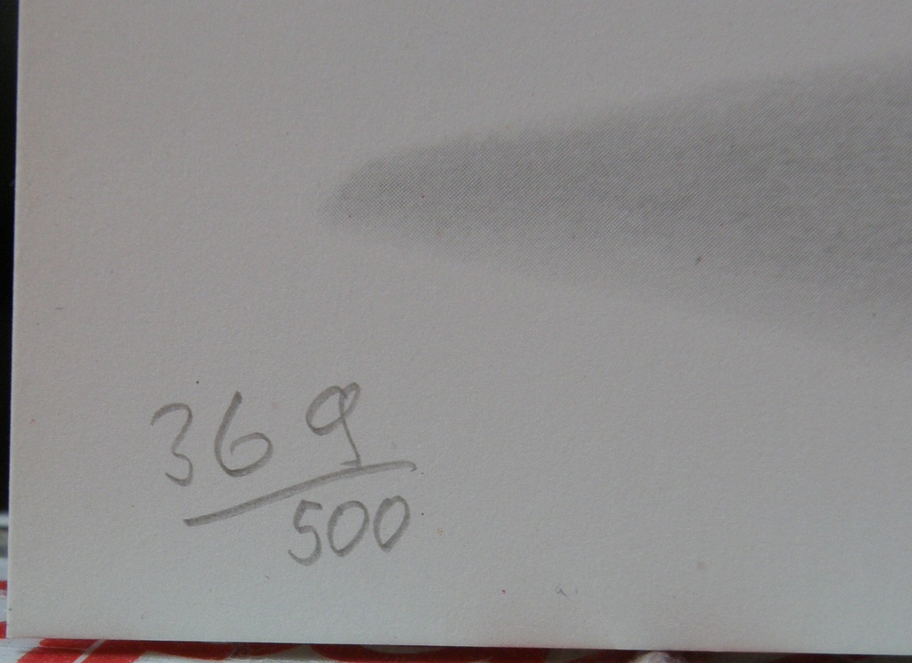 Jeroen Henneman: Zeefdruk, genummerd en met potlood gesigneerd kopen? Bied vanaf 85!