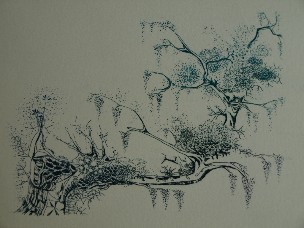 Kees de Ruijter : Ets , Wandbouquet – gesigneerd - 1982 kopen? Bied vanaf 10!