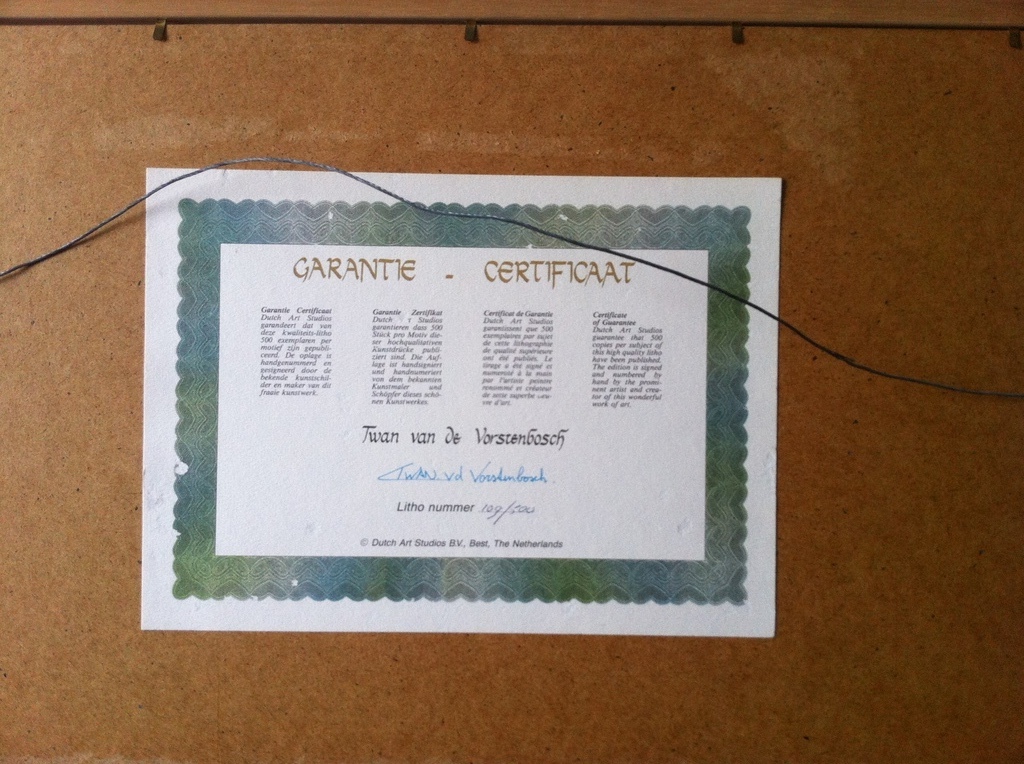 Twan van de Vorstenbosch: Kleurenlitho,Dame met auto kopen? Bied vanaf 60!