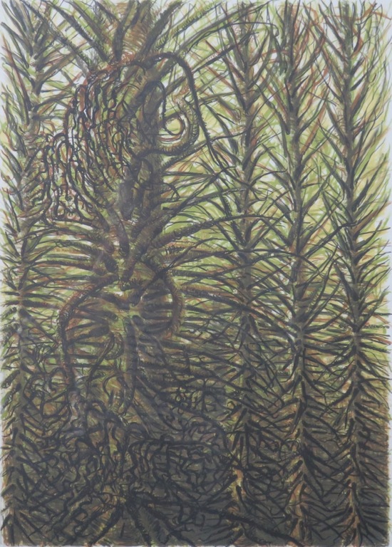 Jacobien de Rooij: Litho, Flou - Ingelijst kopen? Bied vanaf 1!