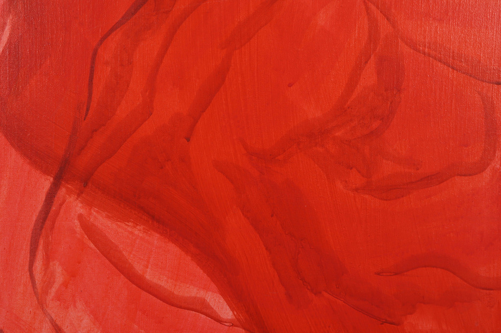 Peter van den Akker: Acryl op doek, Roses are red - Ingelijst (Zeer groot) kopen? Bied vanaf 250!