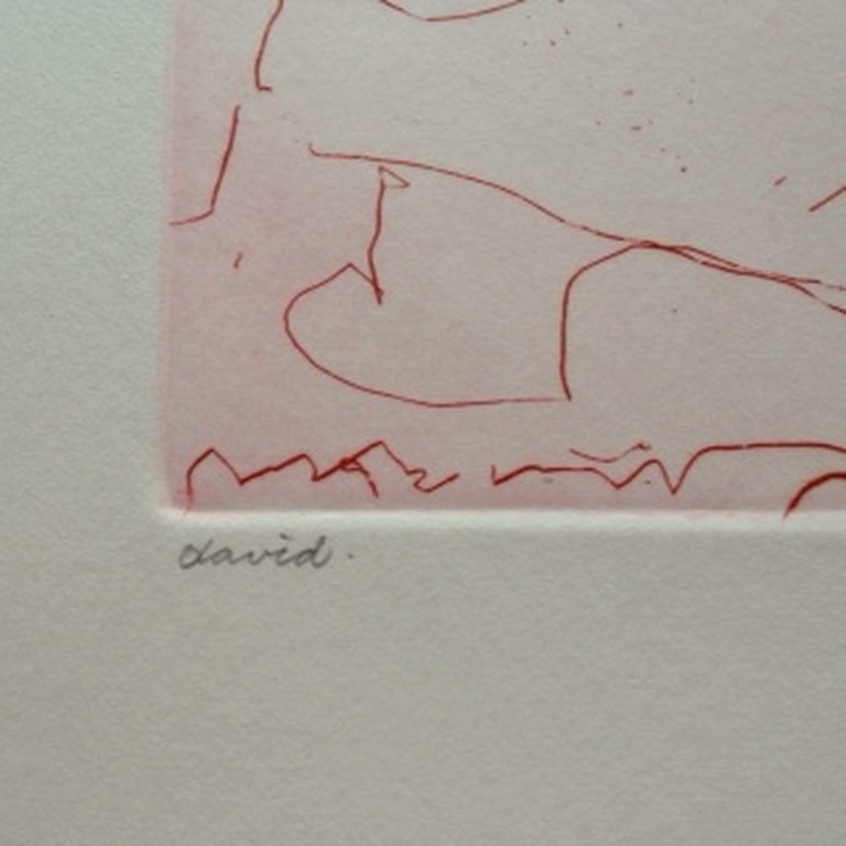 David Luyten, ets kopen? Bied vanaf 10!