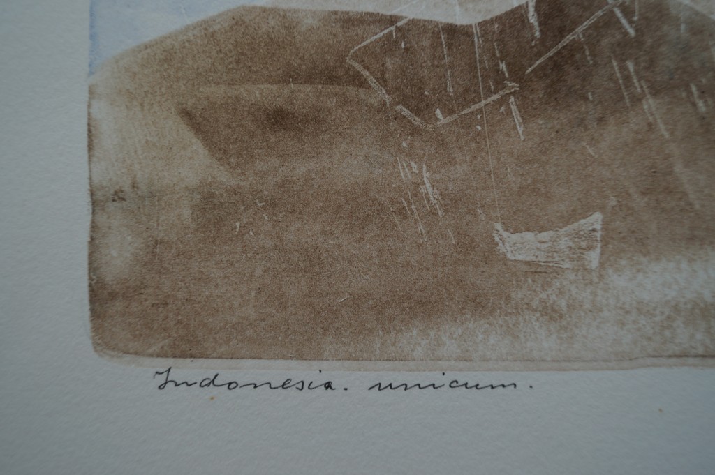 Armien Visser - gesigneerde ets - Indonesia unicum  kopen? Bied vanaf 1!