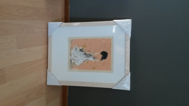Jose van Gool, de danser kopen? Bied vanaf 75!