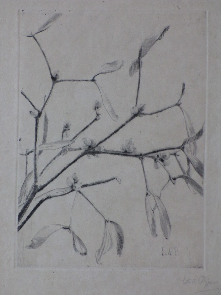 Edith Pijpers, Wilgentakjes, Ets kopen? Bied vanaf 25!