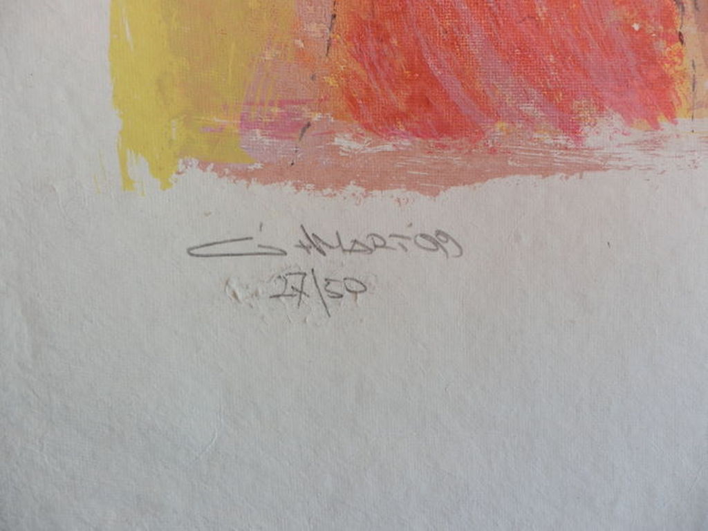 GERARD 't HART SJAMAAN  Gr Zeefdruk(87x67cm) Handgesigneerd kopen? Bied vanaf 65!