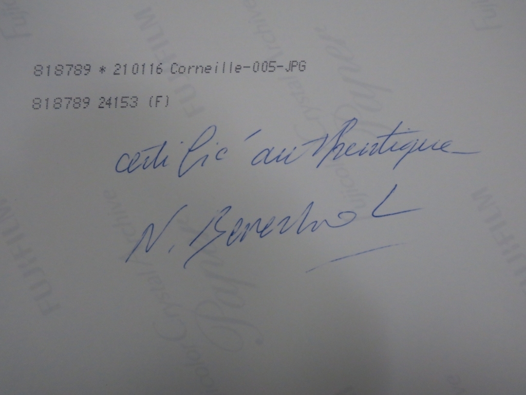 Corneille: Originele Gouache met Fotocertificaat - Zeemeermin kopen? Bied vanaf 350!