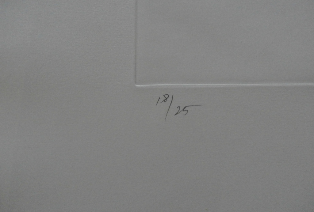 Ger Lataster - zeer grote ets - 1990 - gesigneerd kopen? Bied vanaf 350!