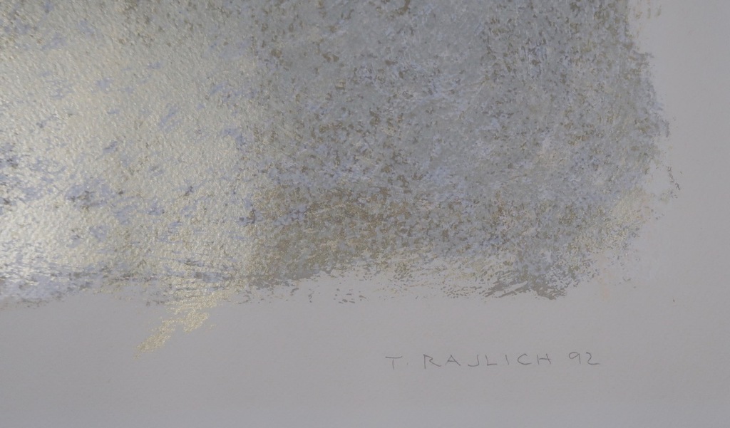 Tomas Rajlich: Zeefdruk, Z.T. kopen? Bied vanaf 1!