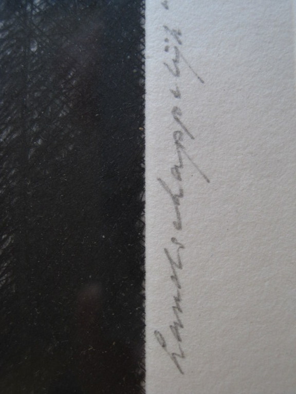 Karakteristieke ets uit de serie "Landschappelijk" van Ko Oosterkerk 1928-2012 kopen? Bied vanaf 1!