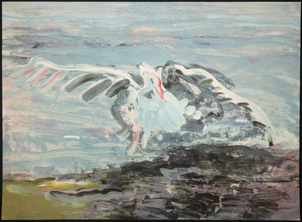 Kees van Bohemen: Zeefdruk, Meeuw kopen? Bied vanaf 150!