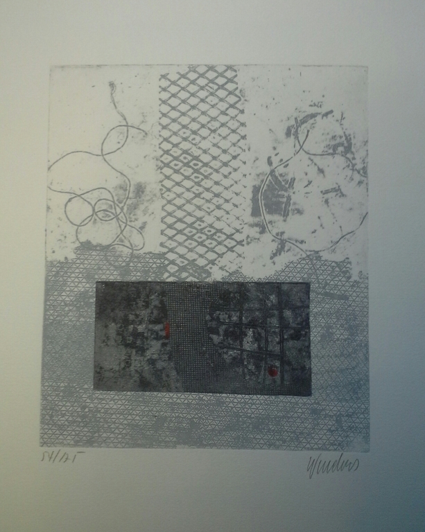 Ets van een zuid amerikaanse kunstenaar kopen? Bied vanaf 1!