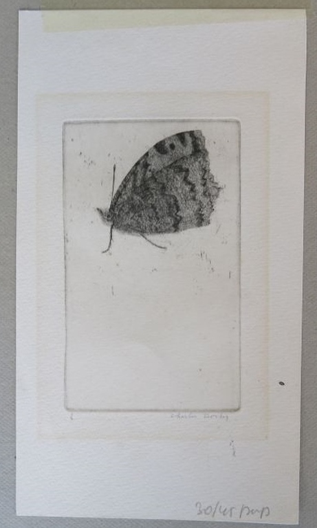 Charles Donker: Ets, Vlinder kopen? Bied vanaf 125!