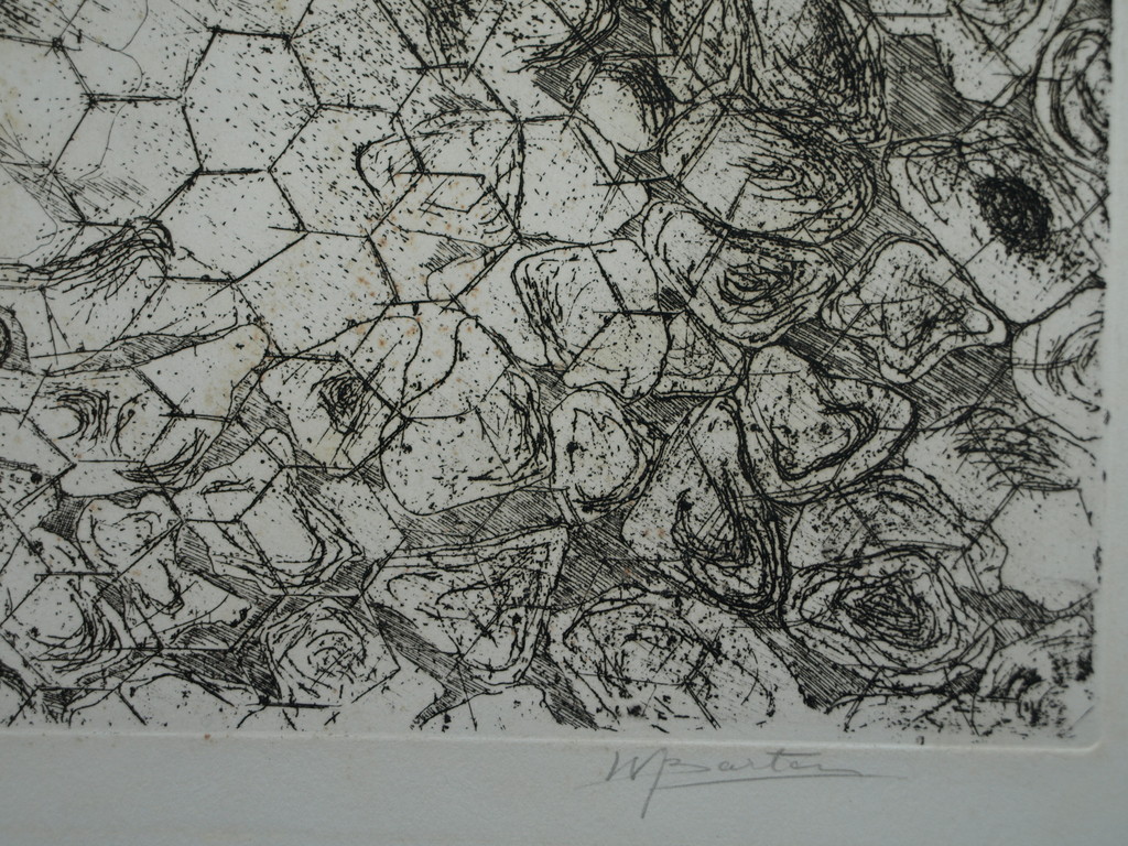 Walter Barten : Ets , Kippegaas met hout – gesigneerd – ca 1980 kopen? Bied vanaf 1!
