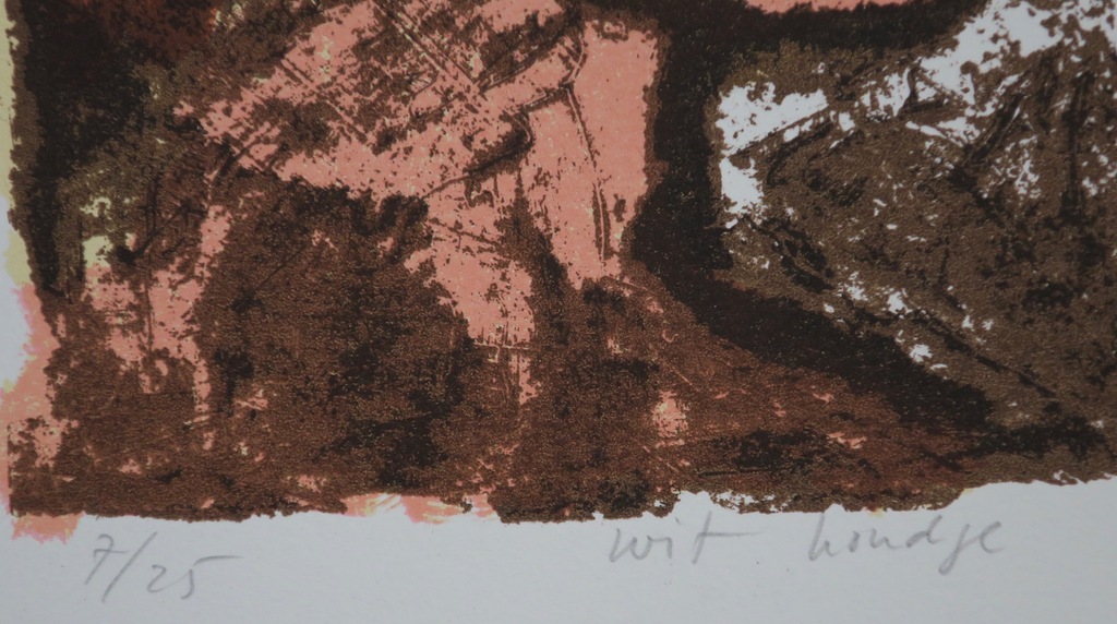 Wim Zurne: Litho, Wit hondje  kopen? Bied vanaf 35!